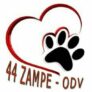 logo 44 zampe odv